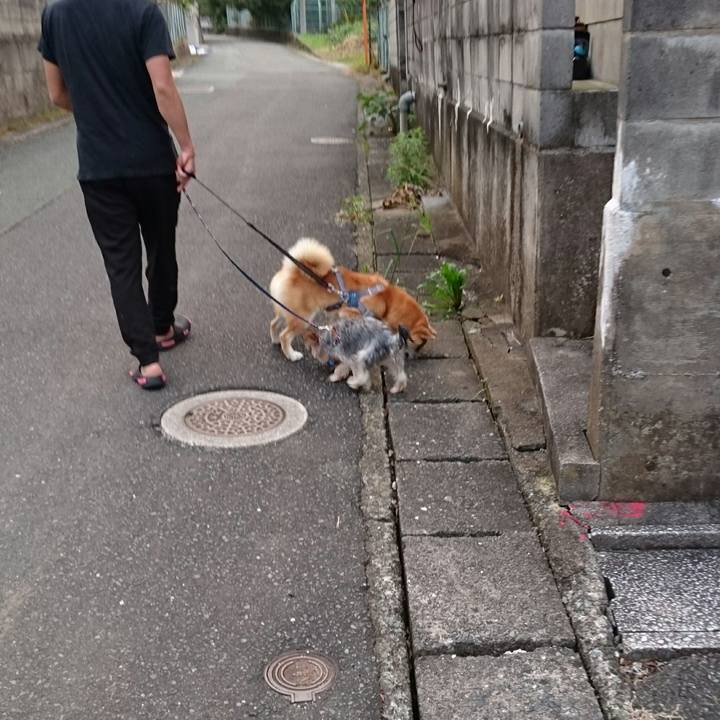 A967becd 64d5 4dc5 a09c 50ca5a4a5f72