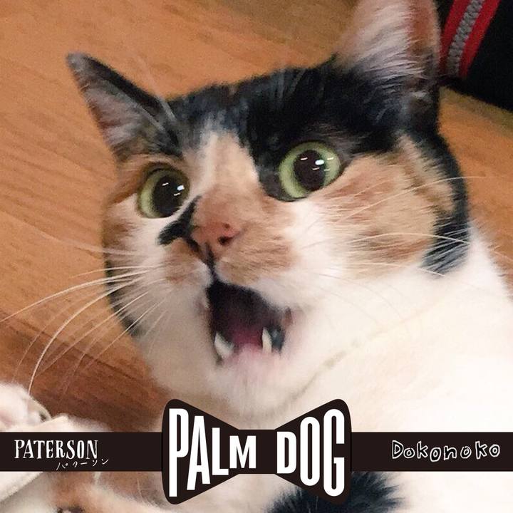 A9680afc 52b4 4abb beab c47393620937