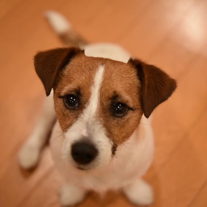 A9684310 ccf7 4d2b aabd 942d1e53df0a