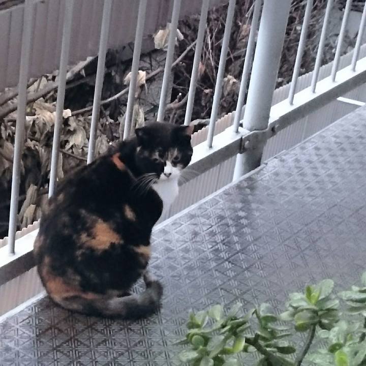 A9685f2a 7dc3 4d3d 860a 8e63e903766f