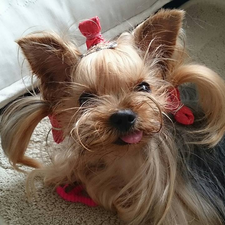 A9691334 4cb2 49f0 a2d6 bb62a0b6bf67