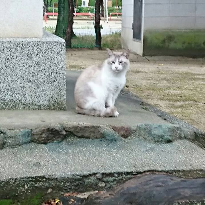 A96936fb 16fd 4ebb 8e89 a3ed8fc096d7