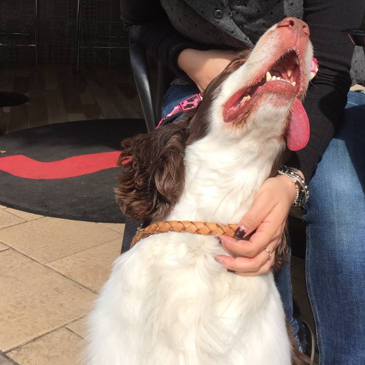 A969cd35 d800 42e5 93be e877a5c0df5d