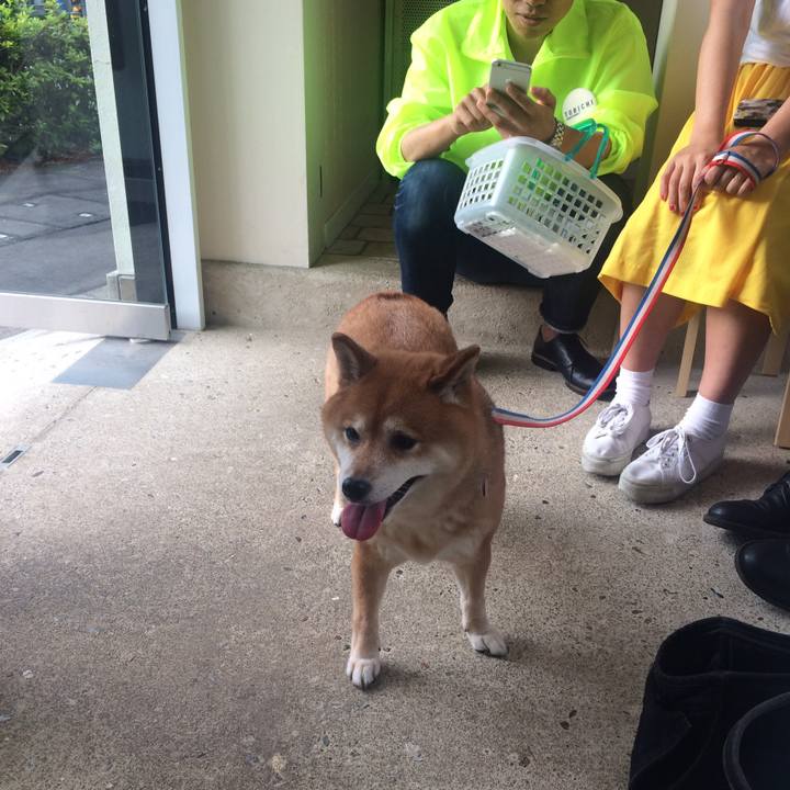 A969edef 3cc4 4ebd a57e be6093802599