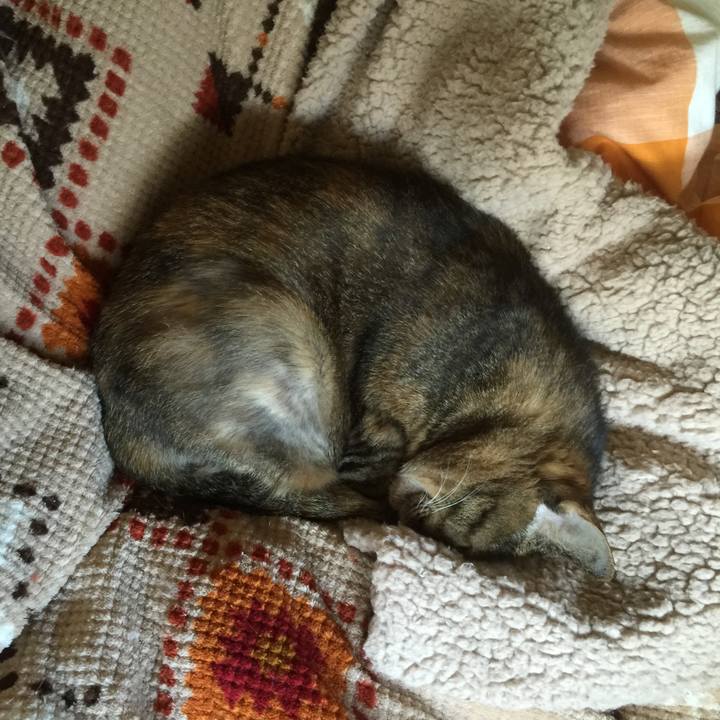 A96a348b fa2c 421b b2a6 f97e80b93fce