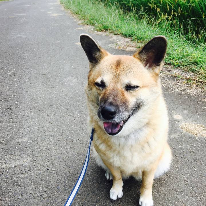 A96aaa65 7d4b 459a 91f4 06139c5b02b8