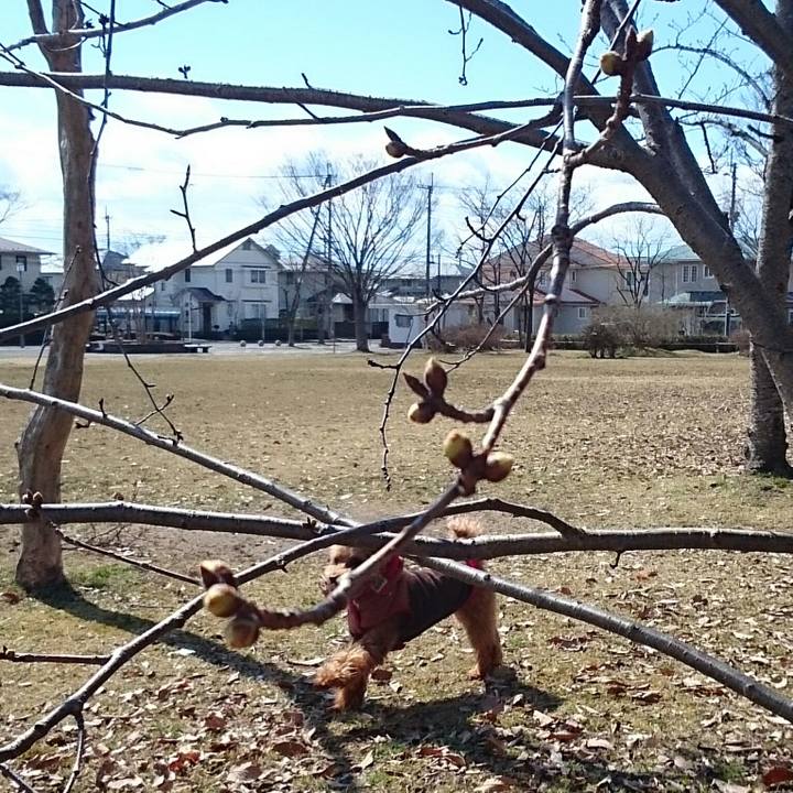 A96ab869 4470 4dc8 827b a7242d46e873