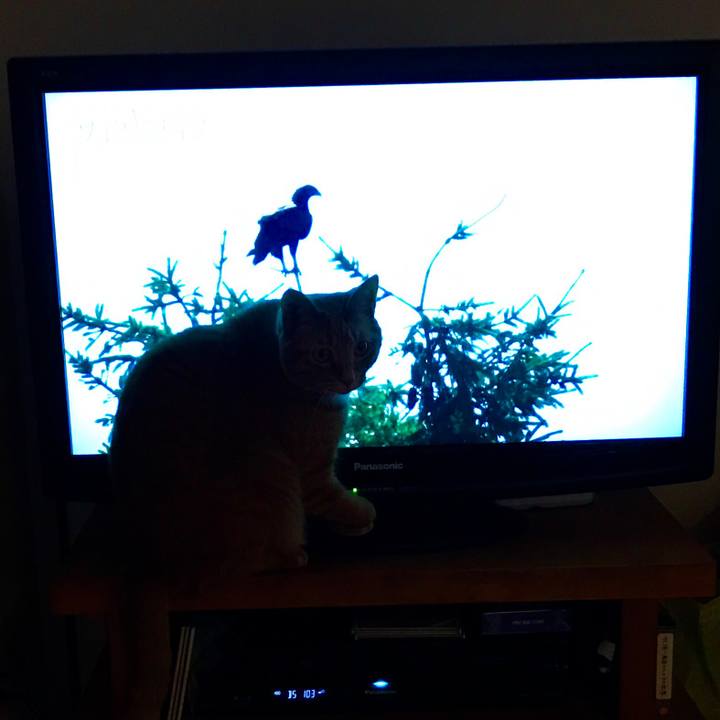 A96ad418 bdd6 4a0e 888a e308ae55bf4e