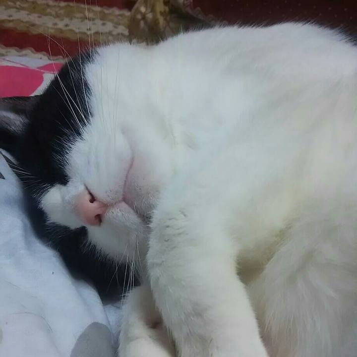 A96bb172 fc16 4d98 bffd 7705f7fd67d2