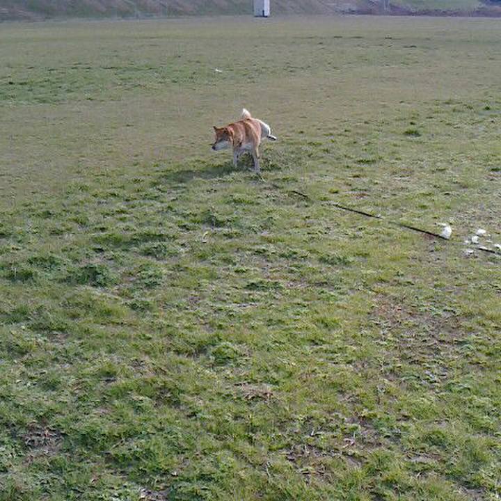 A96c2ff8 860f 4750 a3a6 66223036d723