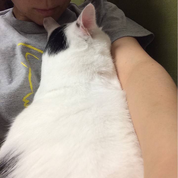 A96c4fe1 bad8 443c a06b 45cf854e0d7c