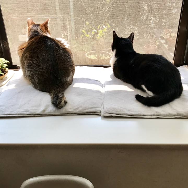 A96ca7f8 85c9 4201 9fed 8f7db089a9a5