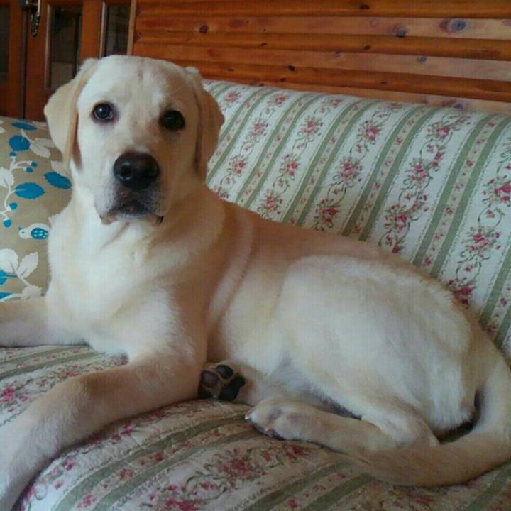 A96cb5b5 2098 4d68 abea 9d0952db7eea