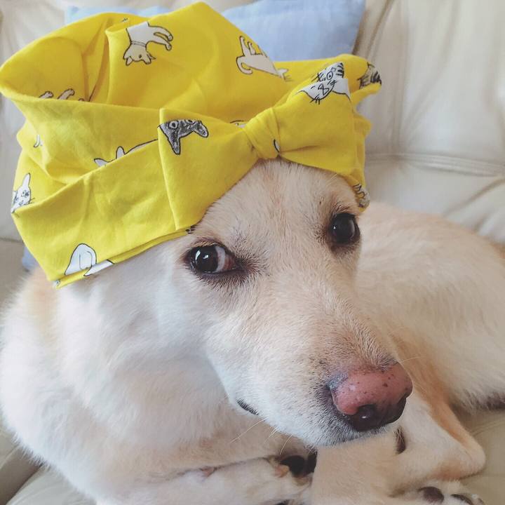 A96d16d9 3485 4843 b2b9 21181667ff89