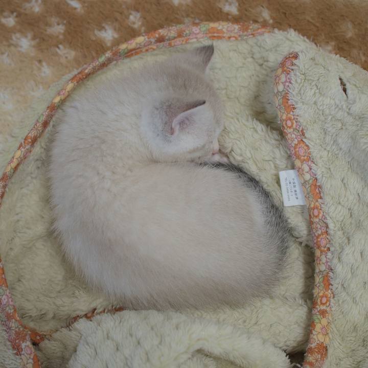 A96d489d cb88 4627 b23f 8a579c94ecf6