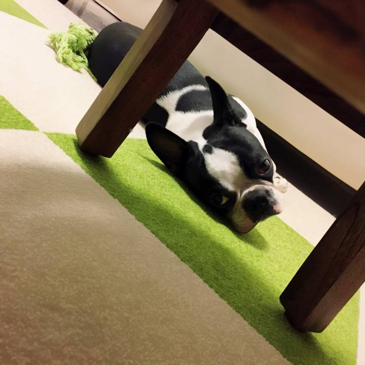 A96d4bf1 793a 44c2 b69e e1f15c8bf015