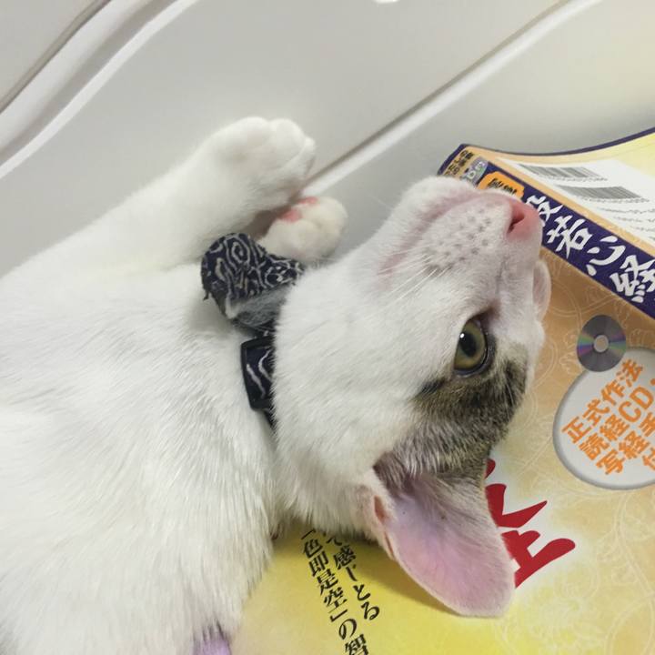 A96d649c fa64 4b3d 976a ec87a723d9fe