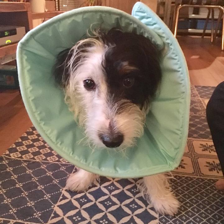 A96e3a59 960e 4fa2 b82b 625ef7fc2f0a