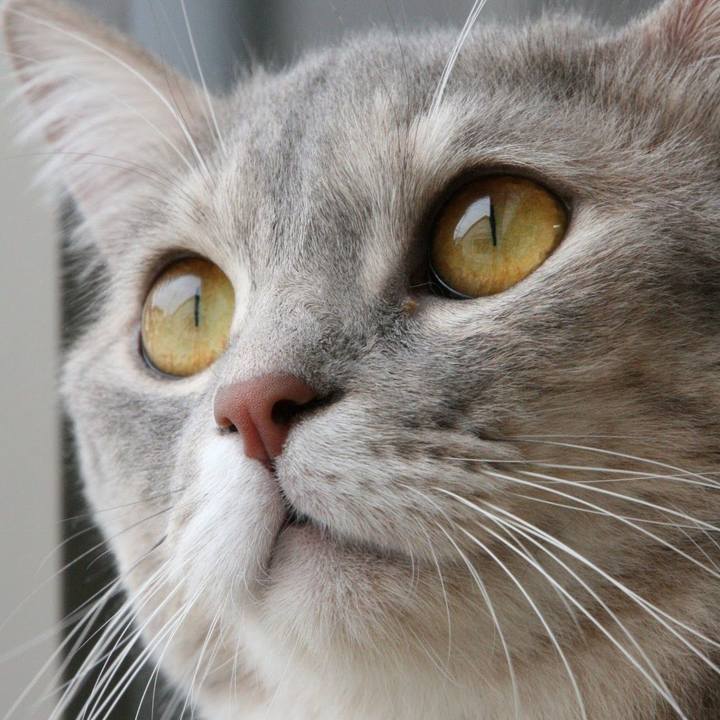 A96f05f1 822e 4074 a17e 1993dc9de514