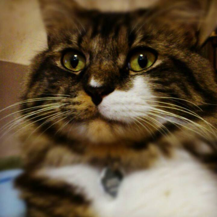 A96f2eed b946 4a08 9316 35b4e3b079ee