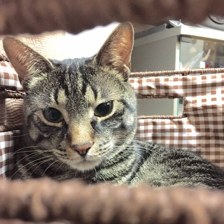 A96f73b5 71fc 48a2 9344 86f219ce337c