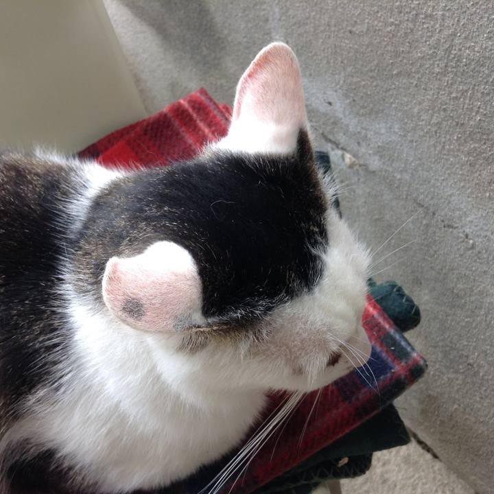 A96fbd38 54c3 40a9 a970 a548a7a685ad