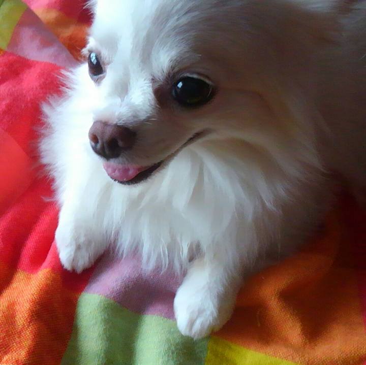 A97066bf cfaa 4a71 bac3 2cd0a6032610