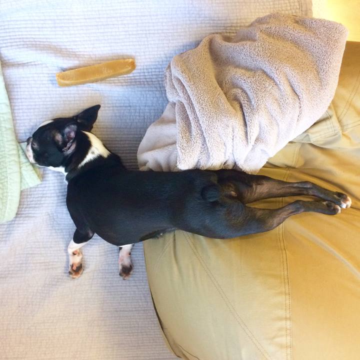 A9709bd4 b298 4bc4 b30f 2e48a486f079