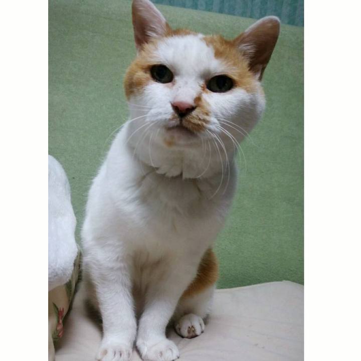 A970ff83 482a 433a 8abe c0300283f68e