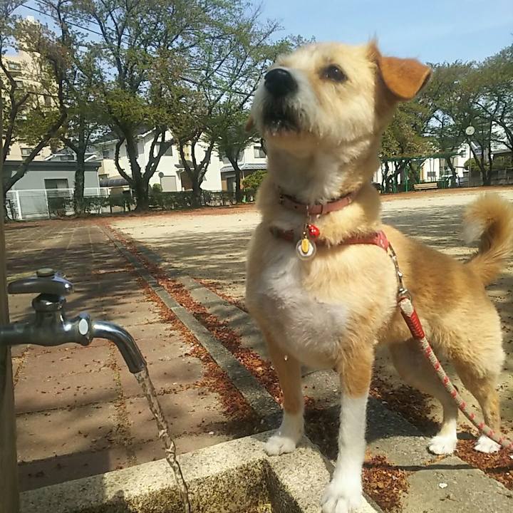 A9718bf5 db3d 47f2 afa0 665969dadd52