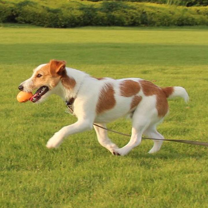 A971b165 6533 4dcb 8c87 e54b0fb0081b