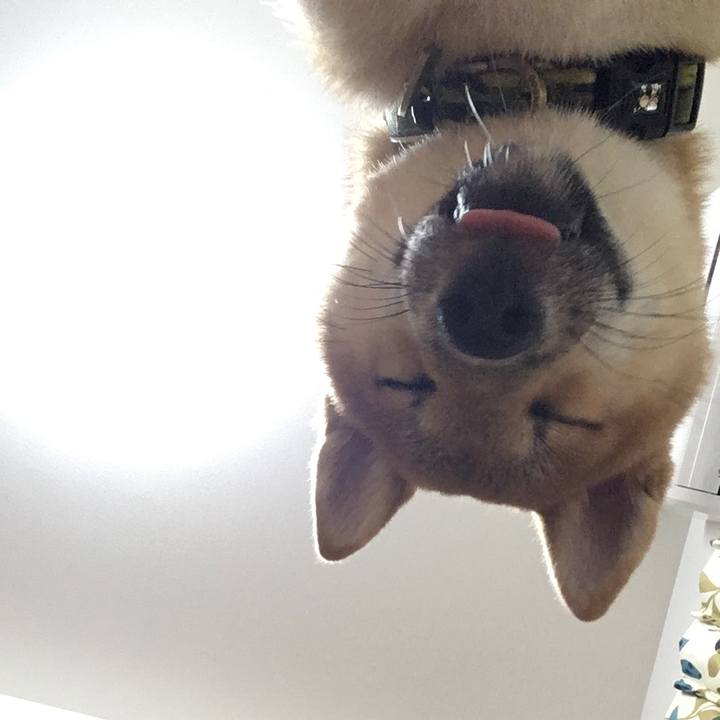 A971e2fb 20a1 4e4e ab45 47fd8ddd4652