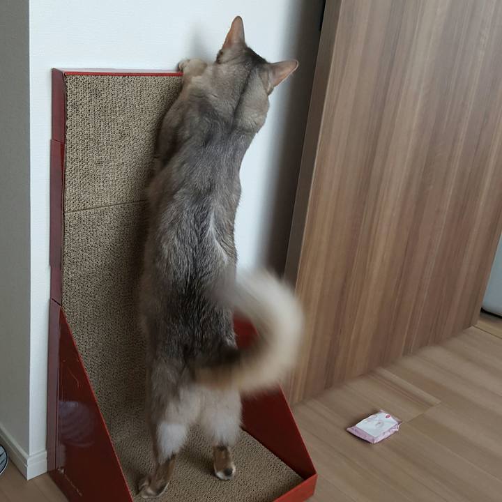 A9729229 9c51 4d2f 8e66 c2e389ec376e