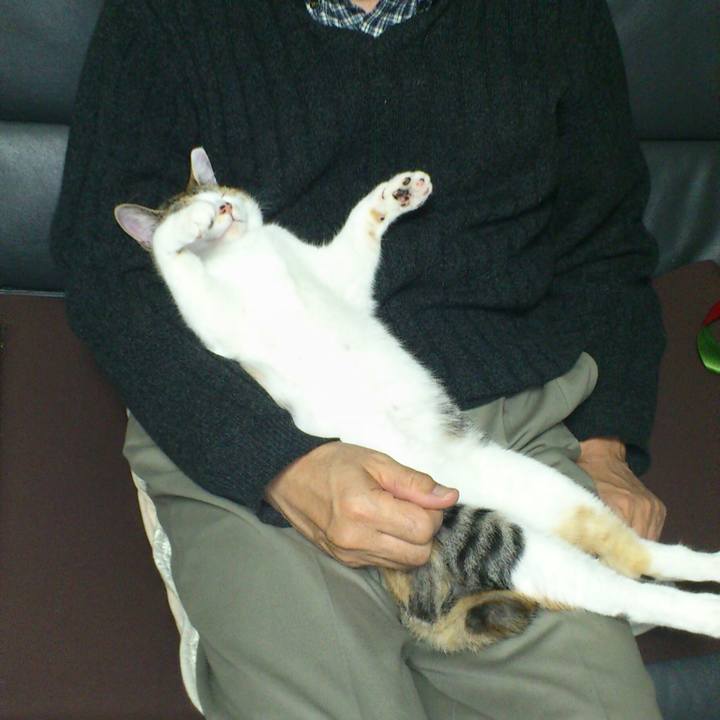 A9733897 a663 4da0 891d 6ced3b3d81b6