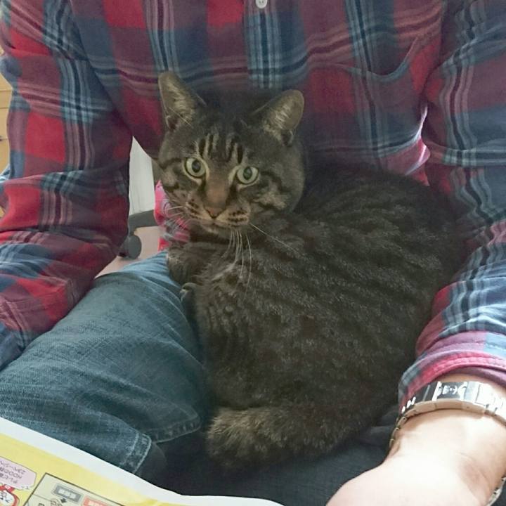 A9740740 0e1f 473e b268 edf9a188a91d