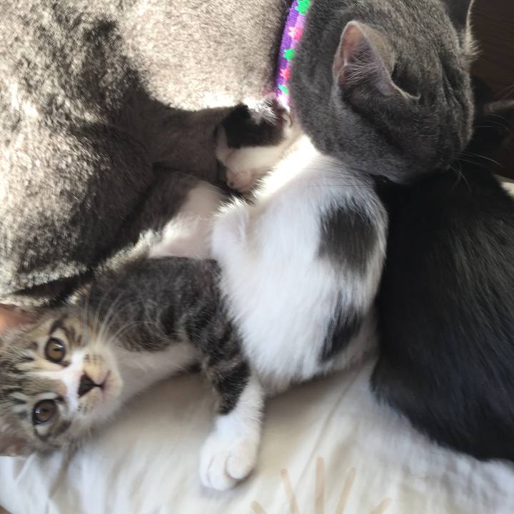 A974abdb bd3b 4a96 87e7 7a5272fab0d4