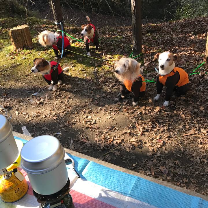 A974b10b 2b81 4d3c 9b39 d65b9f6c9d76