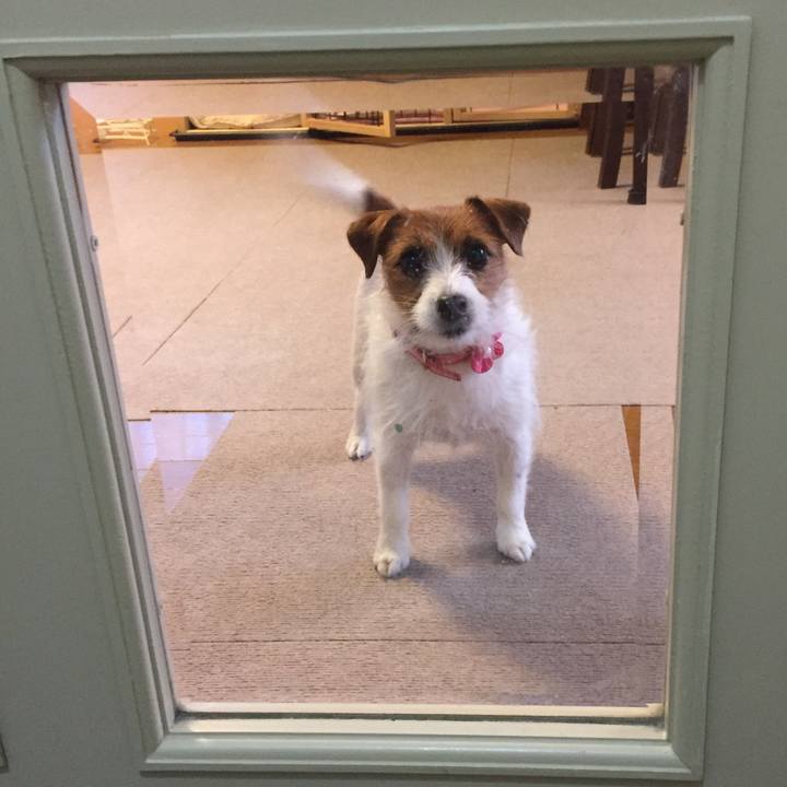 A975029d 95af 4708 a952 4159c5c9bc41