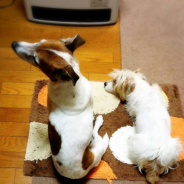 A9752a59 9b0a 41da 9b9f 6ae7ad467eea