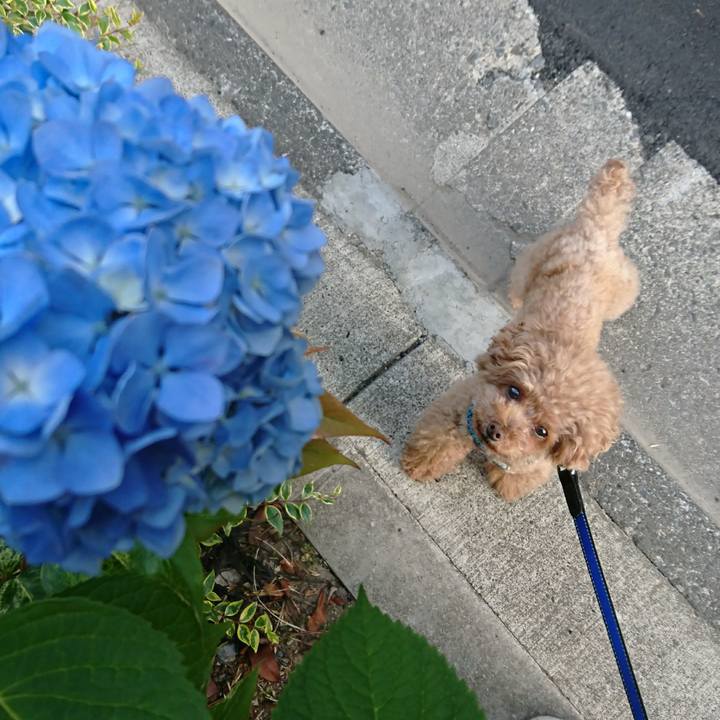 A9757310 18b2 4e67 a862 216ac67a587f