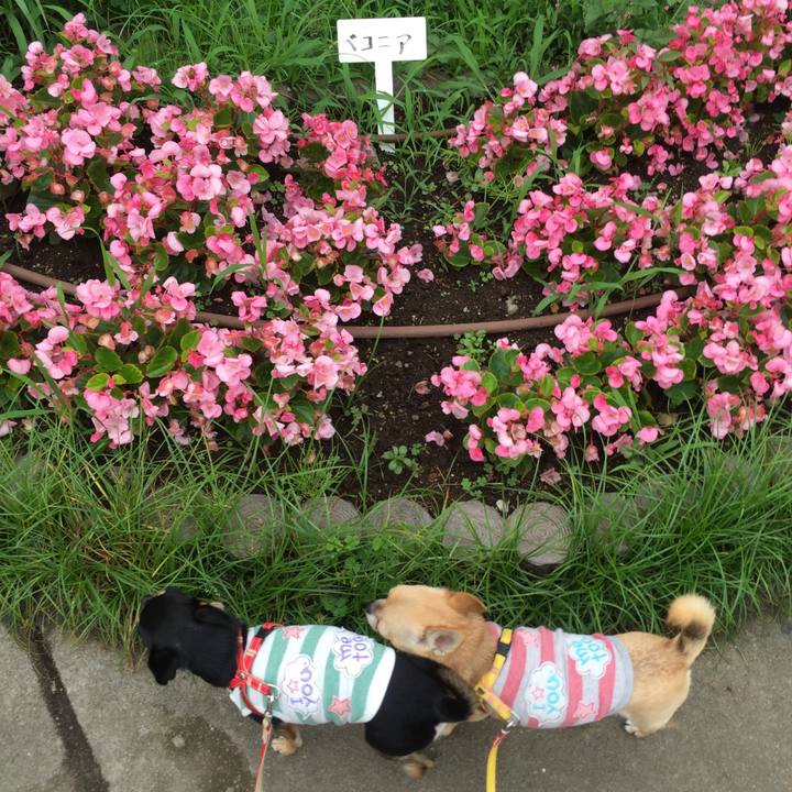 A97578b6 2b95 4238 97e3 d12561080d19