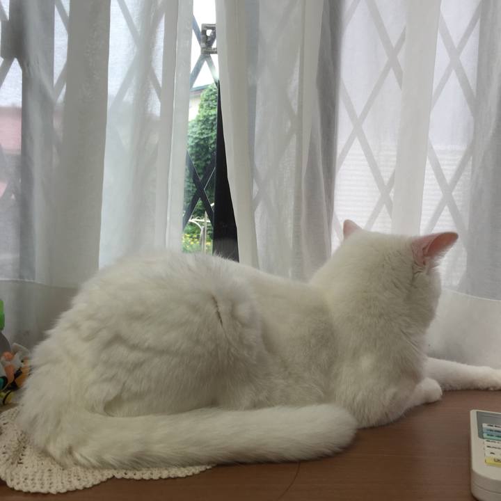 A9759c38 0223 4cd1 a0b0 697e9f012830