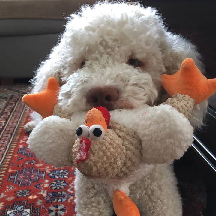 A975b554 2a11 49d1 b819 cc3a854ec91d