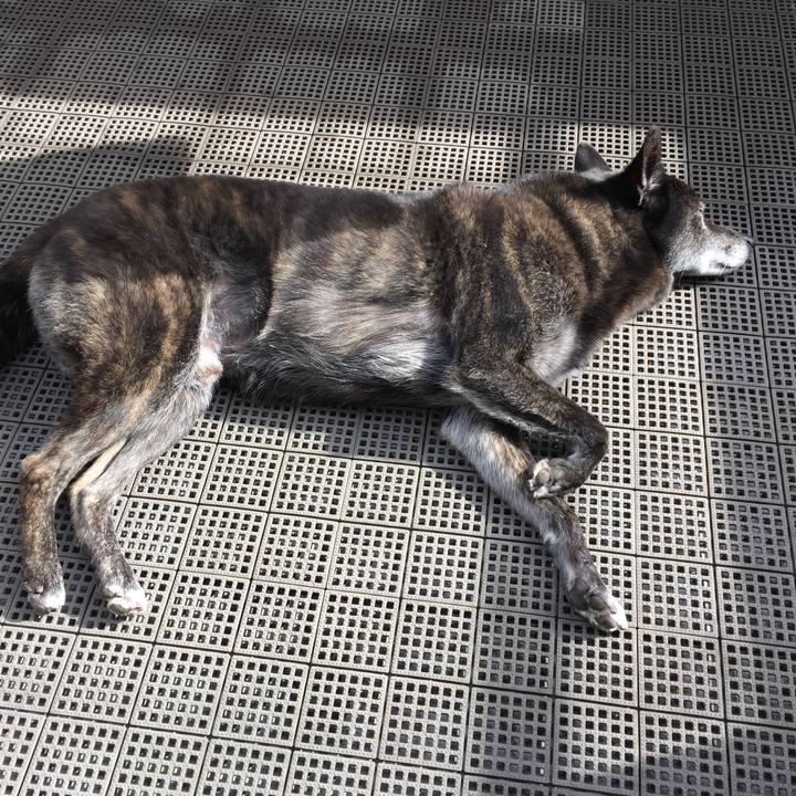 A978547e f9fe 4311 990c 812faea26b29