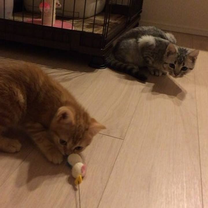 A978b8aa 763b 4abd b541 b7d3067205be