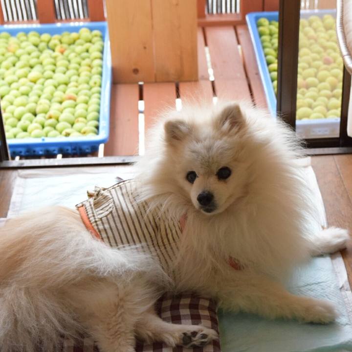 A979432f fd08 4433 a0a3 c8e7bf4e0ef1