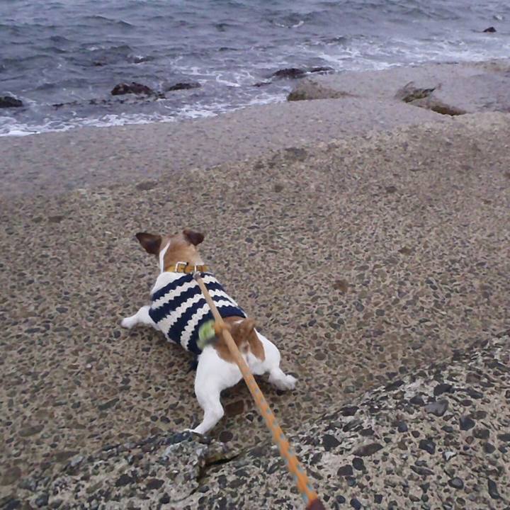 A97ae639 1433 4b7b a72e 5aabbf65fe70