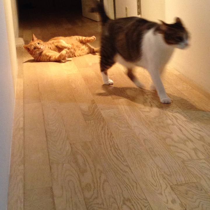 A97aee3e 8283 4191 af00 3dcb5f06d718