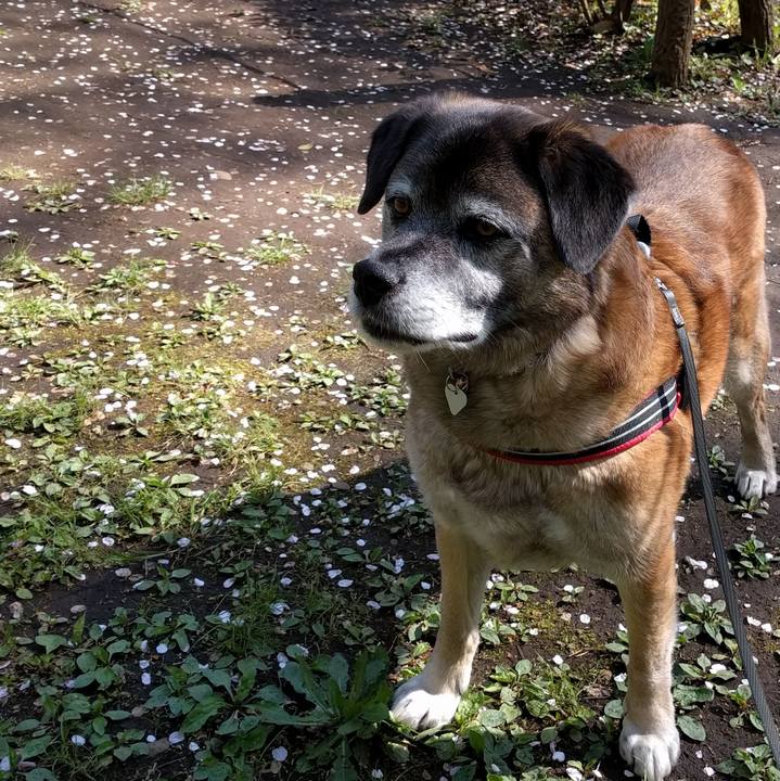 A97bba1b 34d0 47ed 9cc6 5f4d4be2e71d