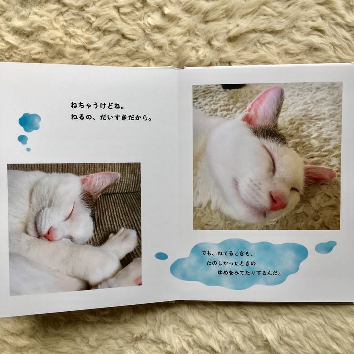 A97bbafe 92b4 4806 a2c1 00dd1c528932